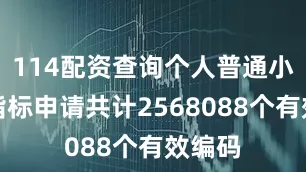 114配资查询个人普通小客车指标申请共计2568088个有效编码