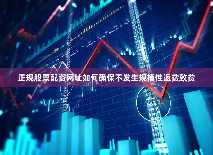 正规股票配资网址如何确保不发生规模性返贫致贫