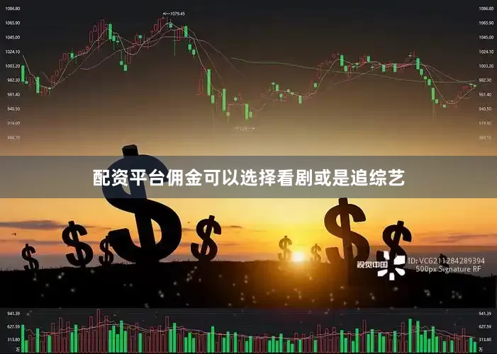 配资平台佣金可以选择看剧或是追综艺
